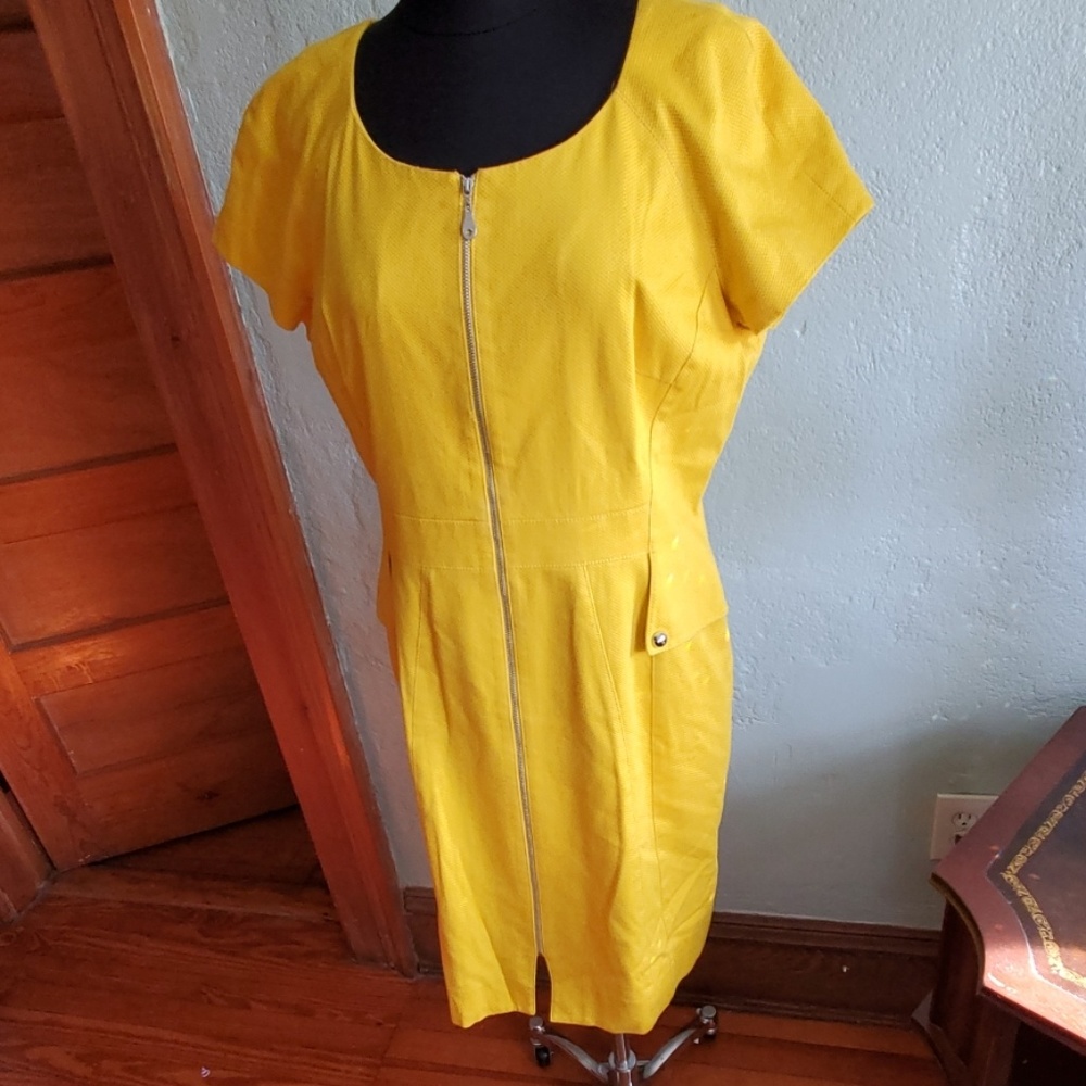 Tahari Arthur Levine dress